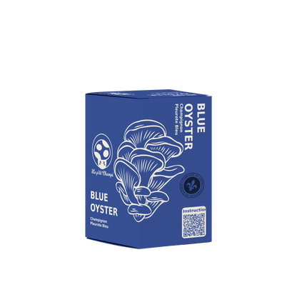Blue Oyster Mushroom Kit Le Petit Champi
