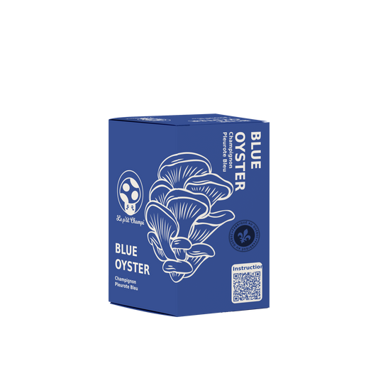 Blue Oyster Mushroom Kit Le Petit Champi