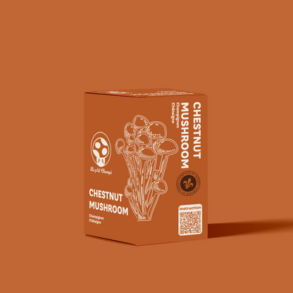Chestnut Mushroom Kit Le Petit Champi