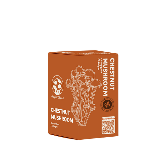 Chestnut Mushroom Kit Le Petit Champi