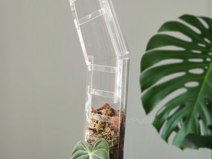 Front Opening Moss Pole - Clear Durable Plastic The Plant Puddle