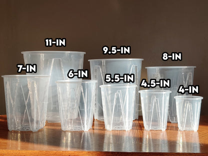 Tall Clear Plant Pot - High Drainage And Sturdy Design The Plant Puddle