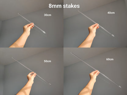 Straight Plant Stakes - Available In 6mm and 8mm Clear Acrylic The Plant Puddle