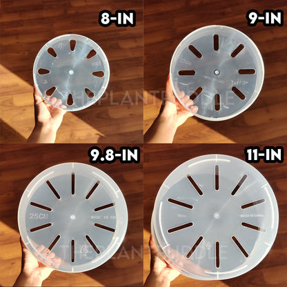 Round Clear Plant Pot - 10 Sizes With Bottom Drainage The Plant Puddle