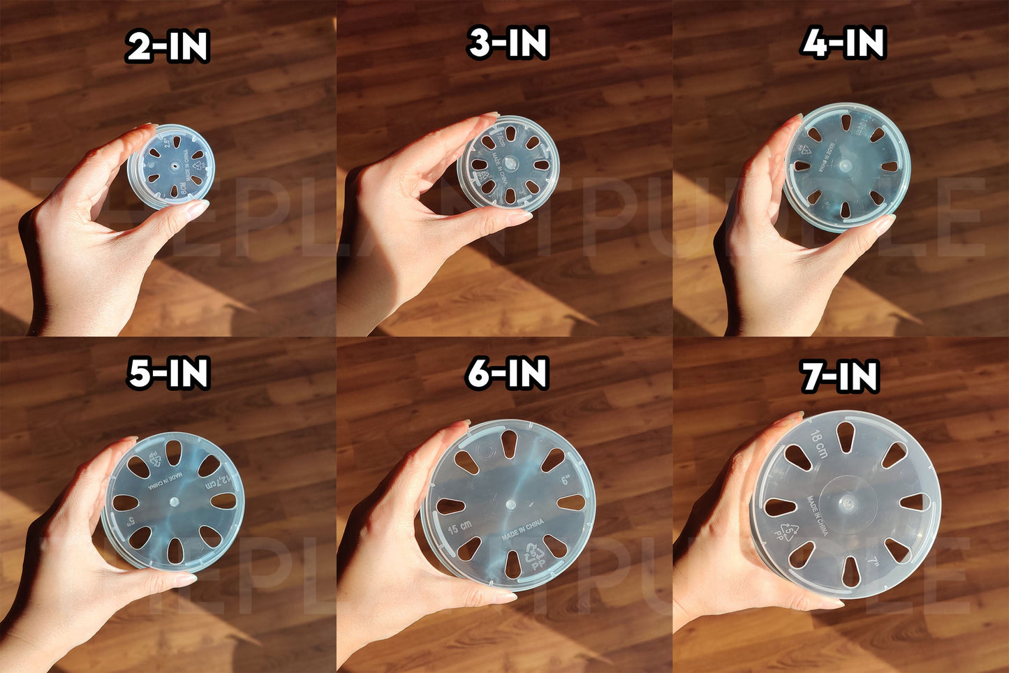 Round Clear Plant Pot - 10 Sizes With Bottom Drainage The Plant Puddle