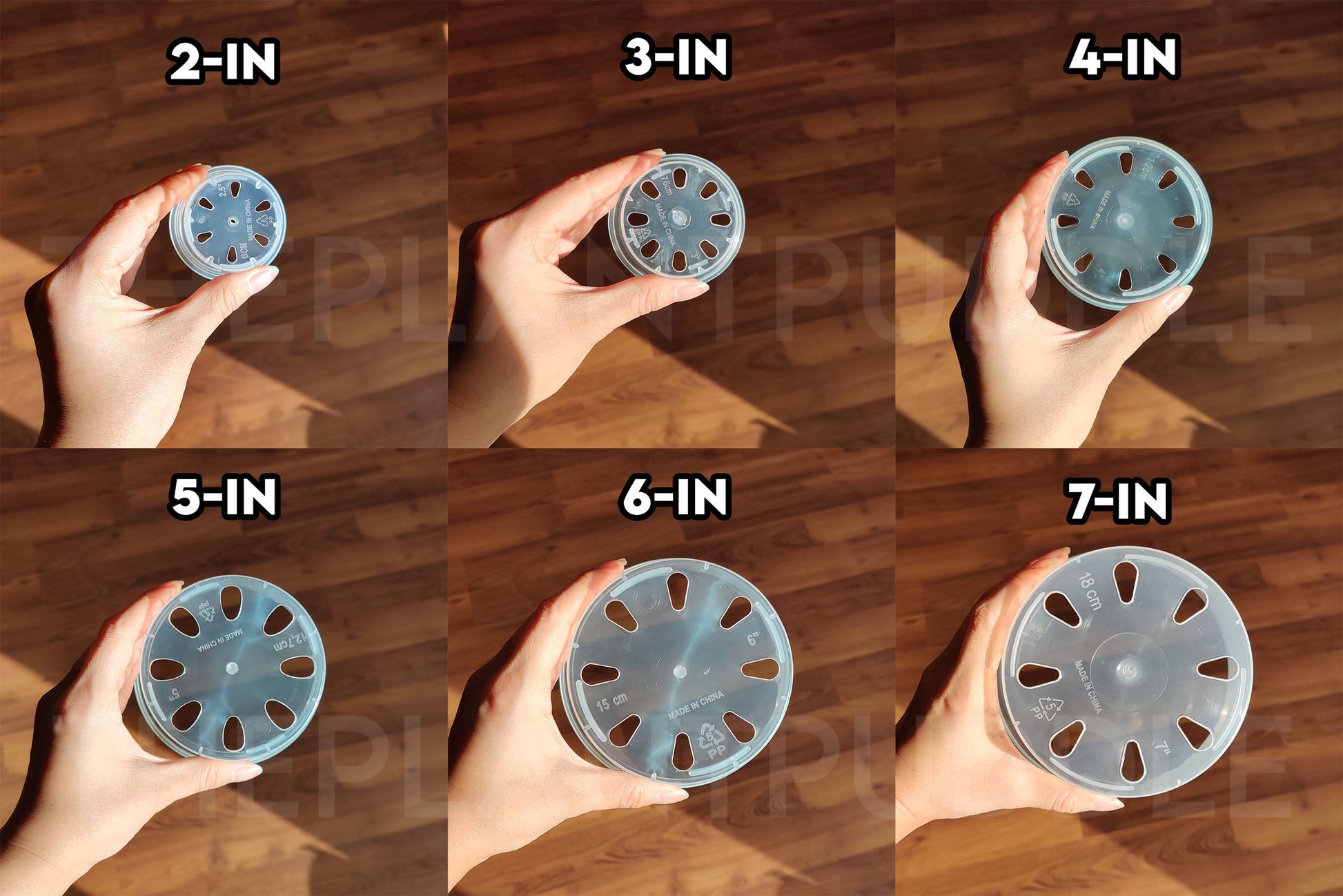 Round Clear Plant Pot - 10 Sizes With Bottom Drainage The Plant Puddle