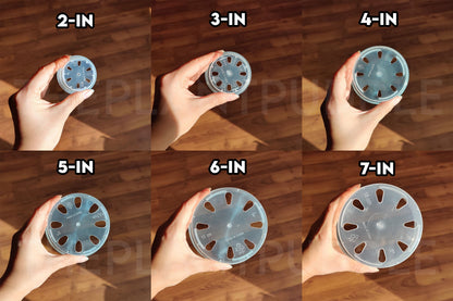 Round Clear Plant Pot - 10 Sizes With Bottom Drainage The Plant Puddle