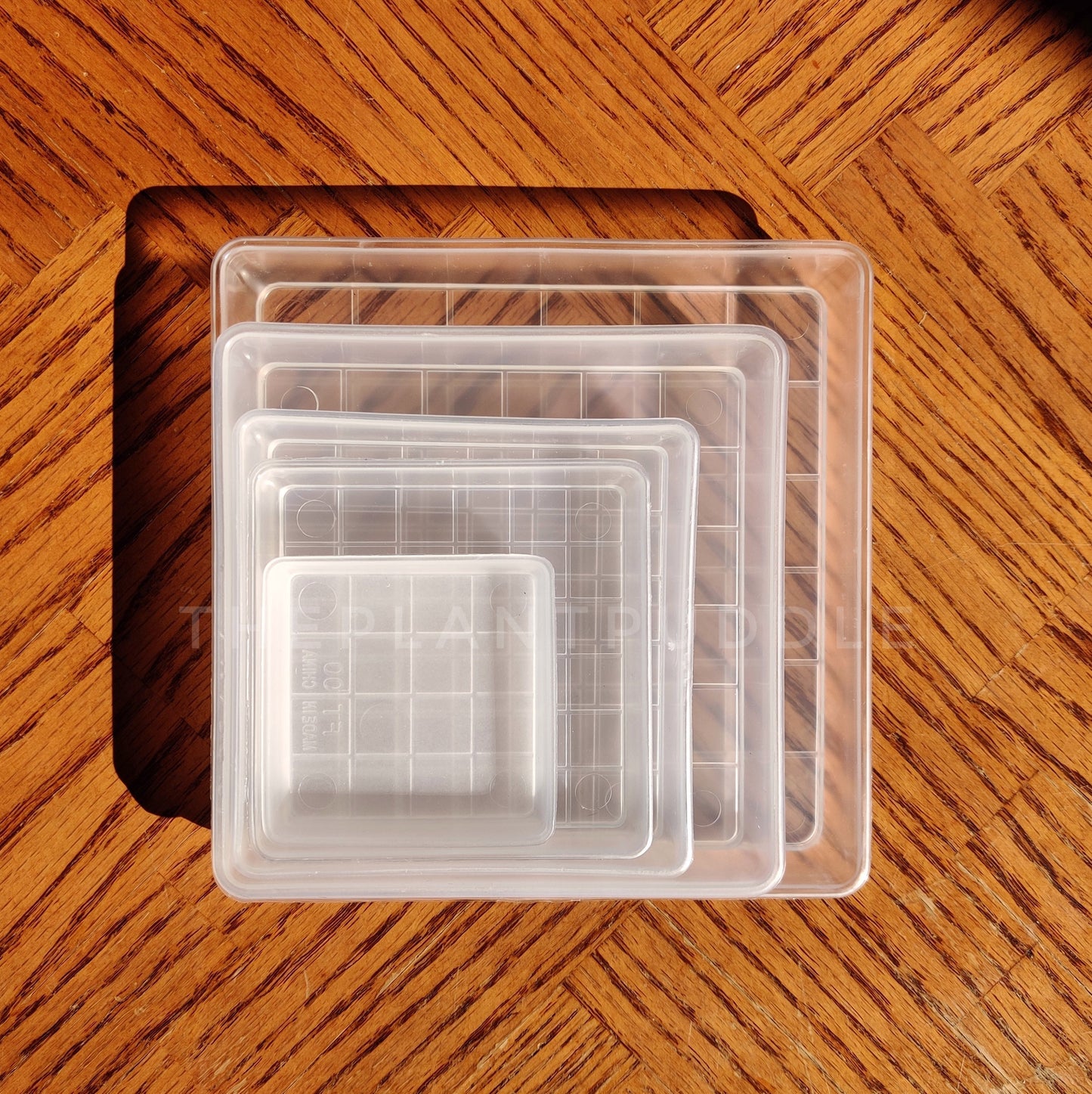 Square Plant Pot Saucers - Organize Your Plant Space The Plant Puddle
