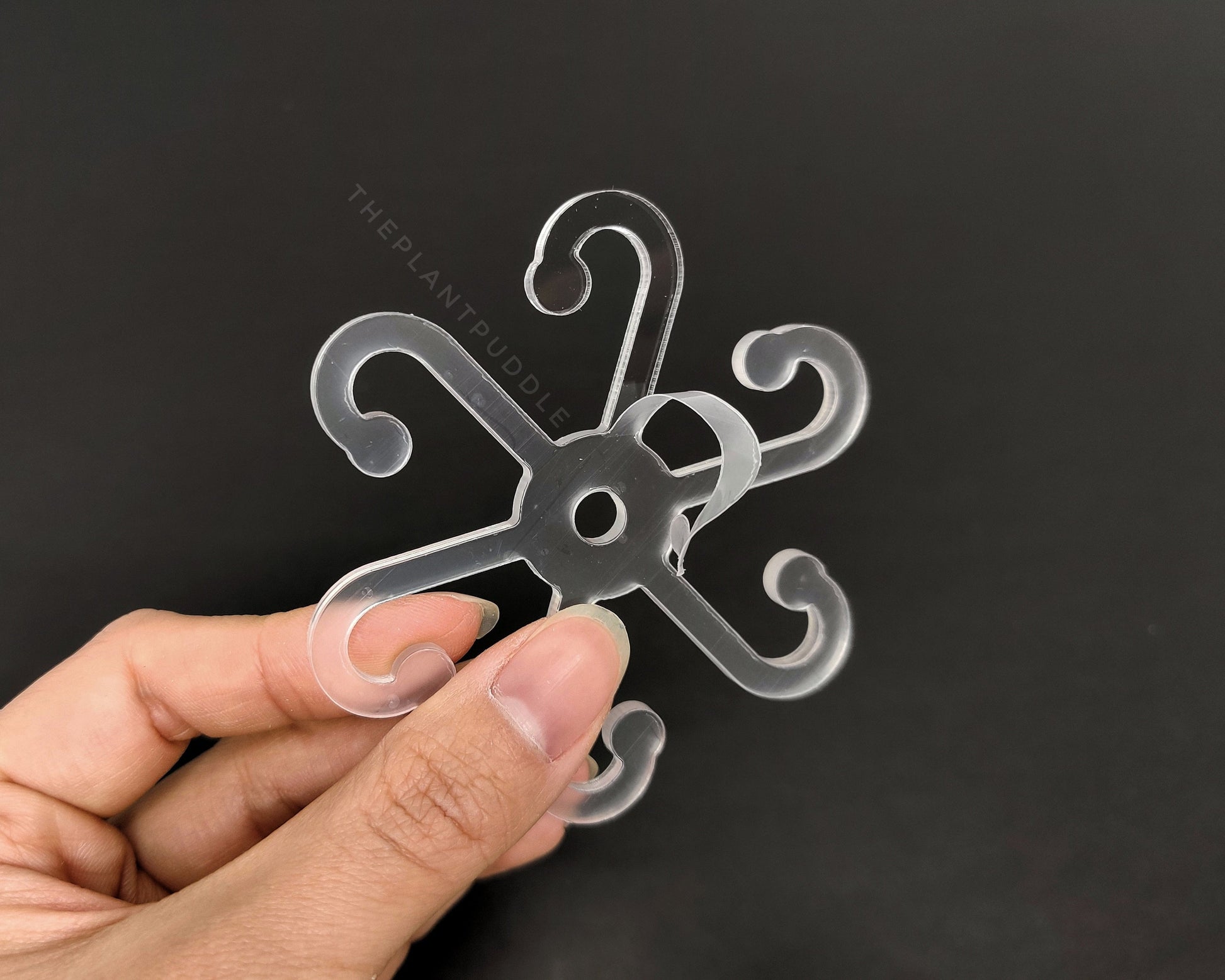 Plant Stem Holder - 6 Arms For Supporting Petioles The Plant Puddle