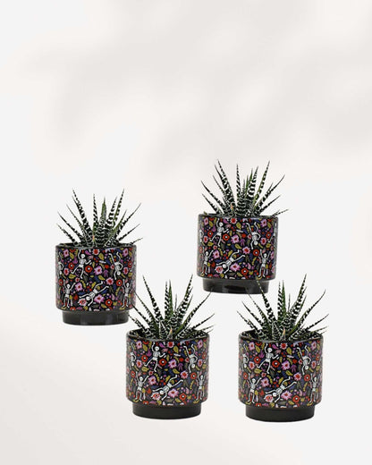 Day of the Dead Pot Mygreenscape | Buy Plants Online