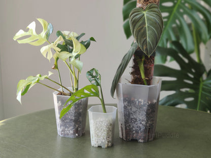 Square Frosted Plant Pot - High Drainage And Easy To Organize The Plant Puddle