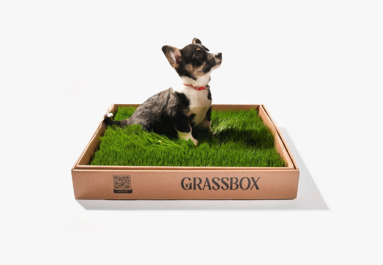 GrassBox Grassbox