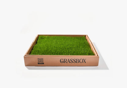 GrassBox Grassbox