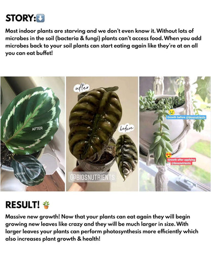 Bios Natural Plant Fertilizer Mygreenscape | Buy Plants Online