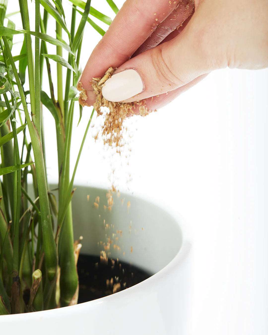Bios Natural Plant Fertilizer Mygreenscape | Buy Plants Online
