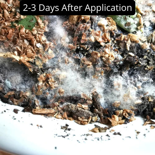 Bios Natural Plant Fertilizer Mygreenscape | Buy Plants Online