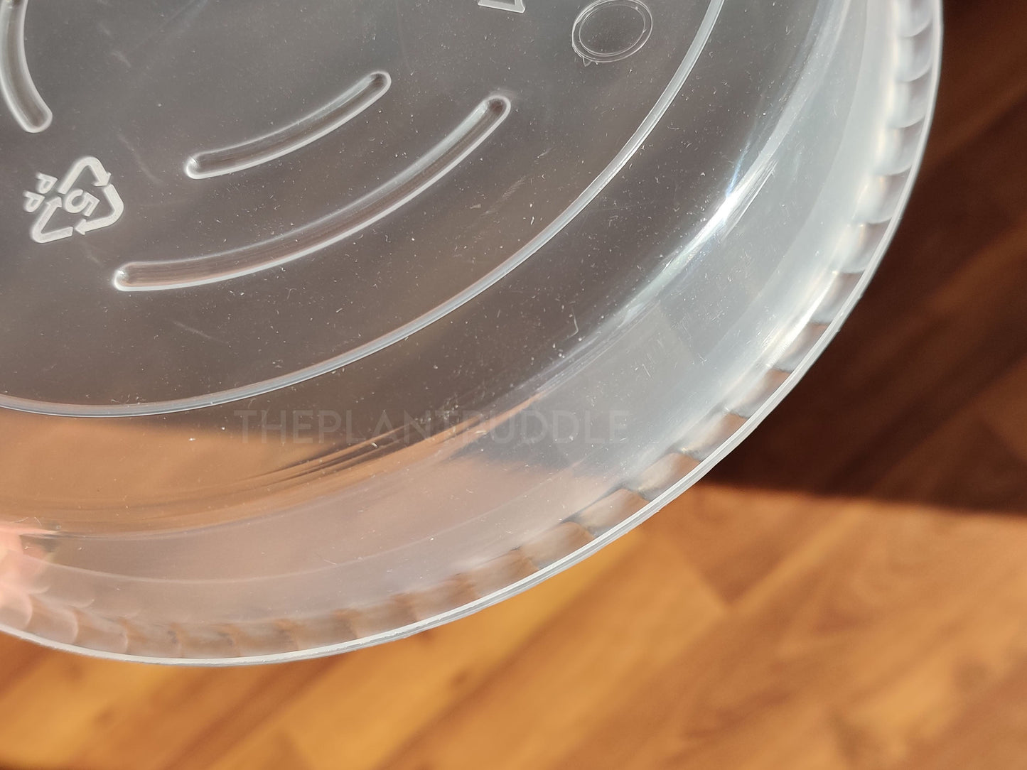 Round Plant Pot Saucers - Durable Translucent Plastic The Plant Puddle