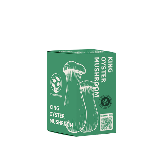 King Oyster Mushroom Kit Le Petit Champi