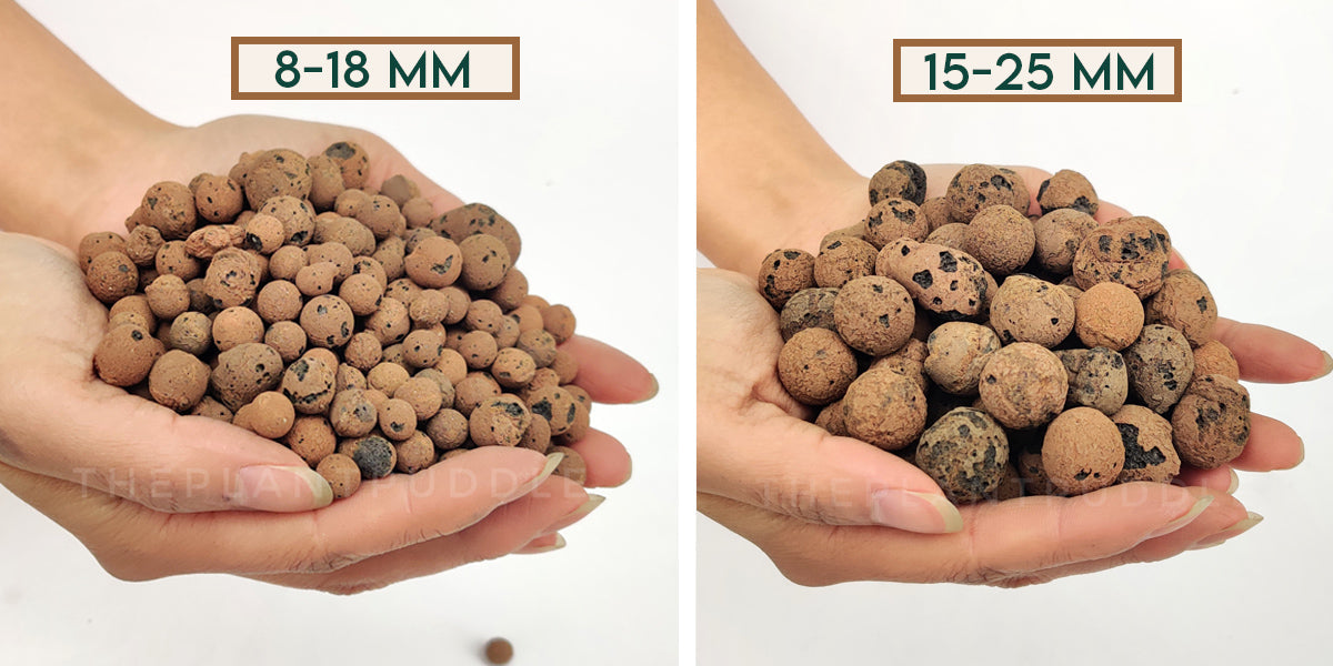 LECA Clay Pebbles - Hydroponics Substrate The Plant Puddle