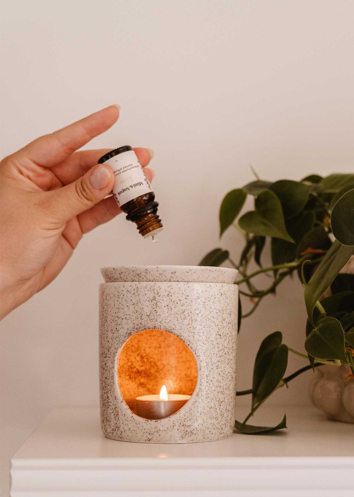 Scented Oil - Lilac Mimi & August