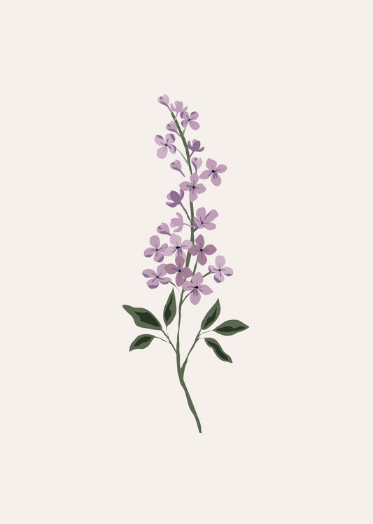 Lilas Flower Art Print Mimi & August