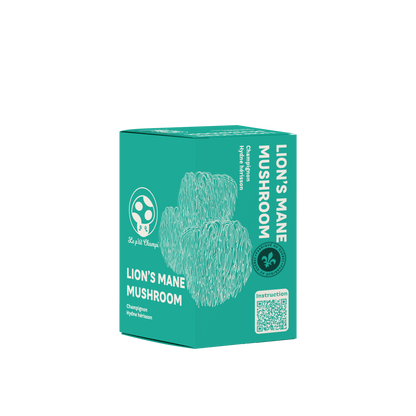 Lion's Mane Mushroom Kit Le Petit Champi