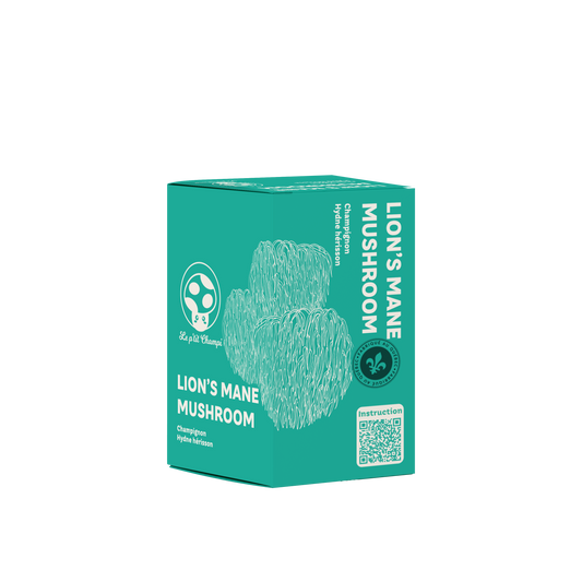 Lion's Mane Mushroom Kit Le Petit Champi