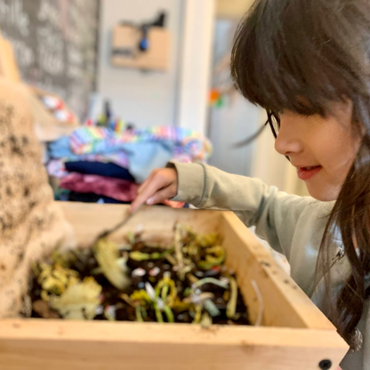 Mini Worm Studio The Box Of Life
