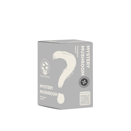 Mystery Mushroom Kit Le Petit Champi