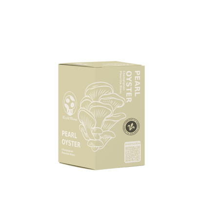 Pearl Oyster Mushroom Kit Le Petit Champi