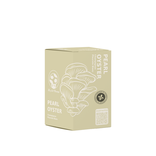Pearl Oyster Mushroom Kit Le Petit Champi