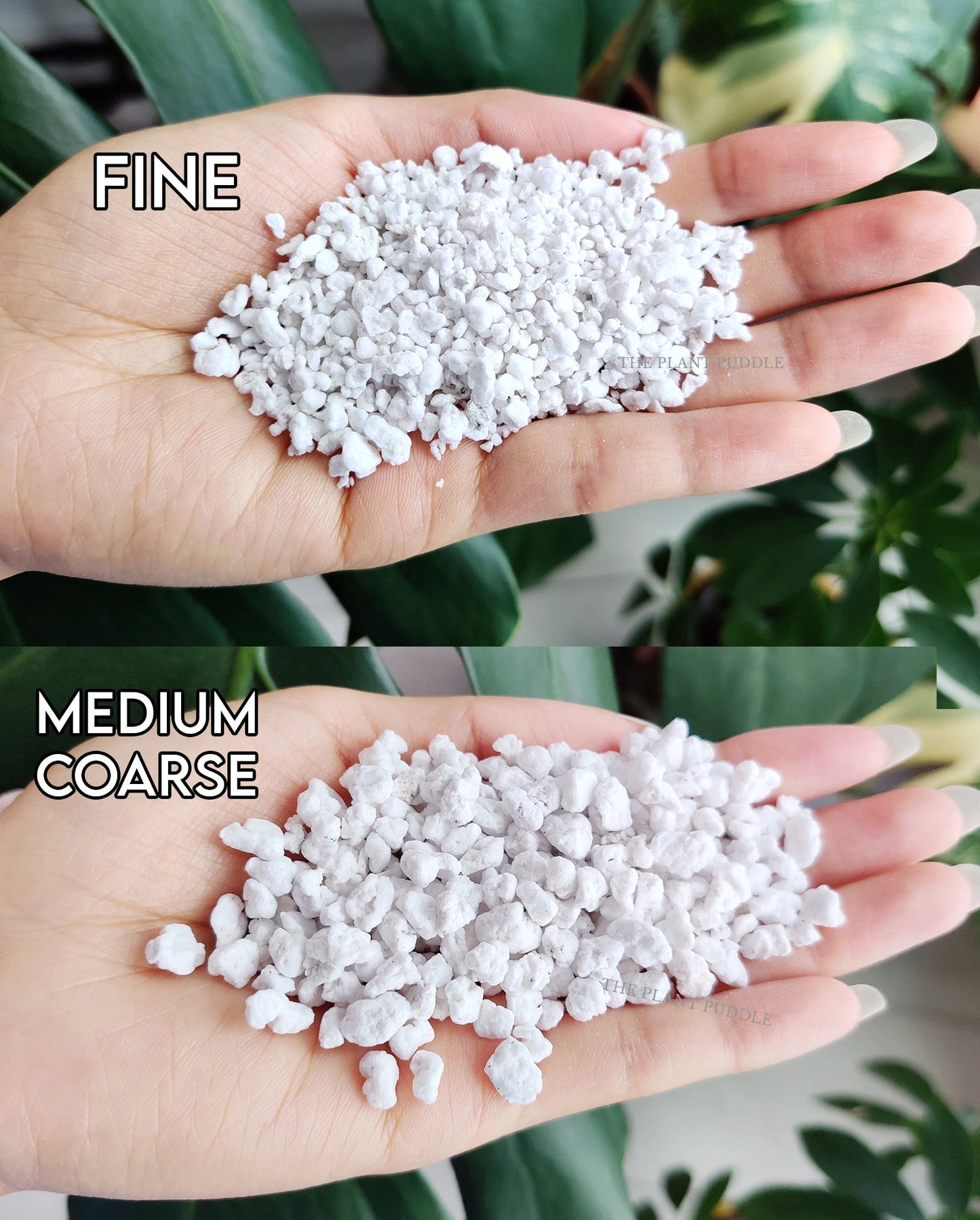 Perlite - Consistent Sizing With Minimal Dust The Plant Puddle