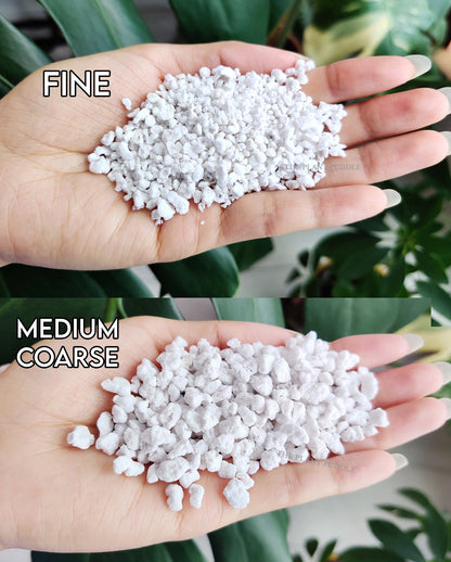 Perlite - Consistent Sizing With Minimal Dust The Plant Puddle