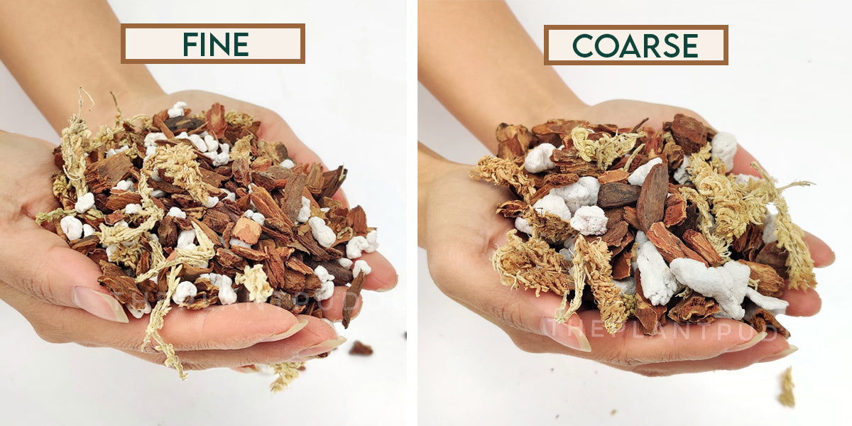 Orchid Potting Mix - A General Mix For Phalaenopsis Orchids The Plant Puddle
