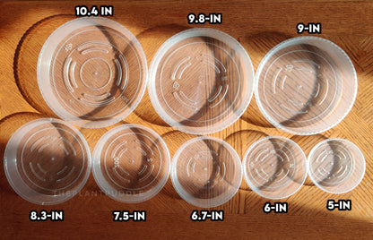 Round Plant Pot Saucers - Durable Translucent Plastic The Plant Puddle