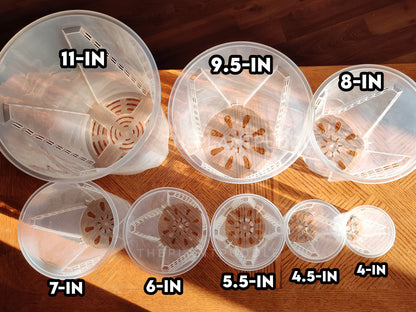 Tall Clear Plant Pot - High Drainage And Sturdy Design The Plant Puddle