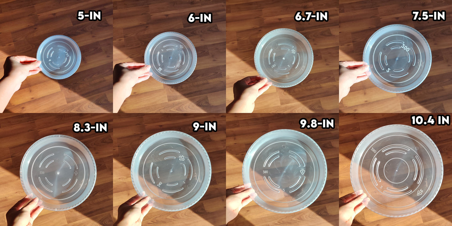 Round Plant Pot Saucers - Durable Translucent Plastic The Plant Puddle