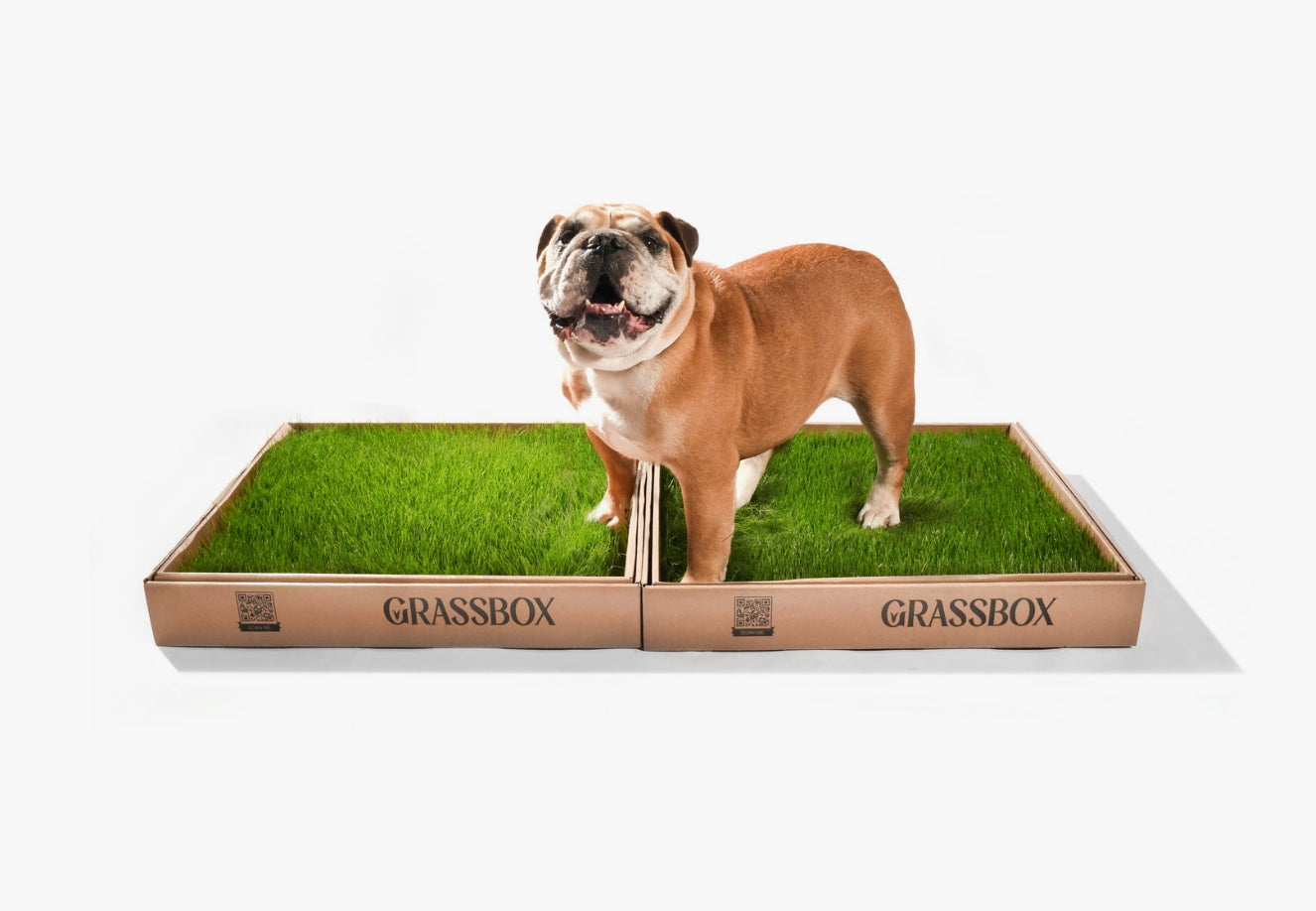 GrassBox Grassbox