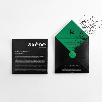 Semences - Rudbeckie hérissée Akène, culture forestière