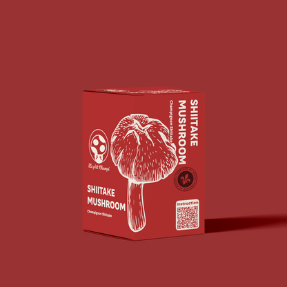 Shiitake Mushroom Kit Le Petit Champi