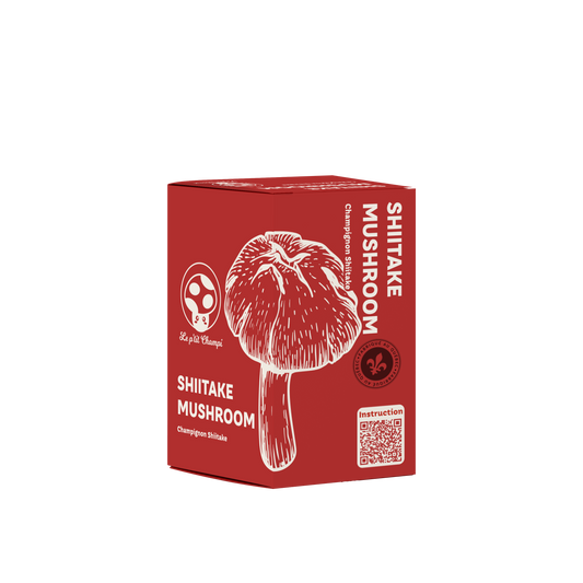 Shiitake Mushroom Kit Le Petit Champi