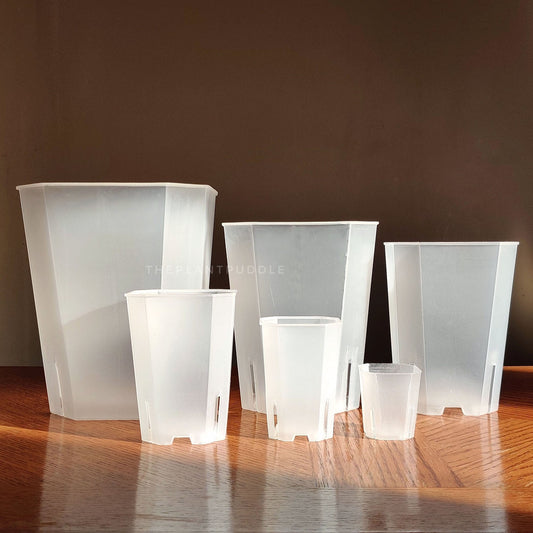 Square Frosted Plant Pot - High Drainage And Easy To Organize The Plant Puddle