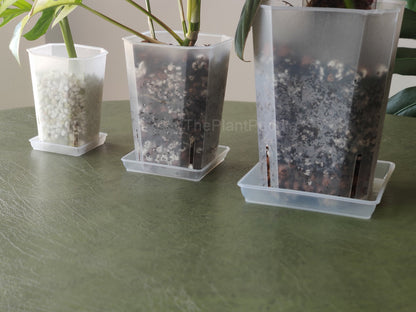 Square Plant Pot Saucers - Organize Your Plant Space The Plant Puddle