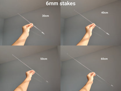 Straight Plant Stakes - Available In 6mm and 8mm Clear Acrylic The Plant Puddle