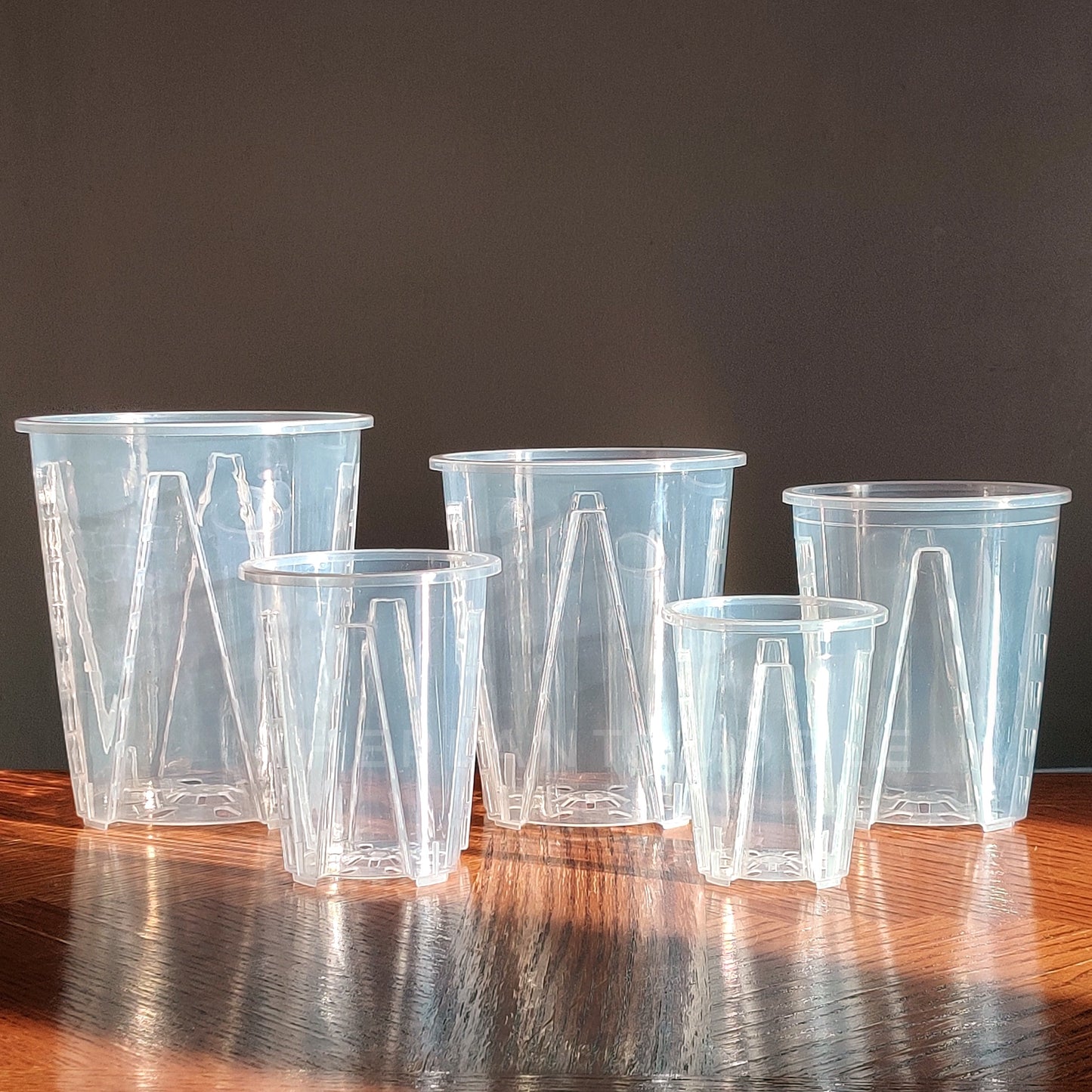 Tall Clear Plant Pot - High Drainage And Sturdy Design The Plant Puddle