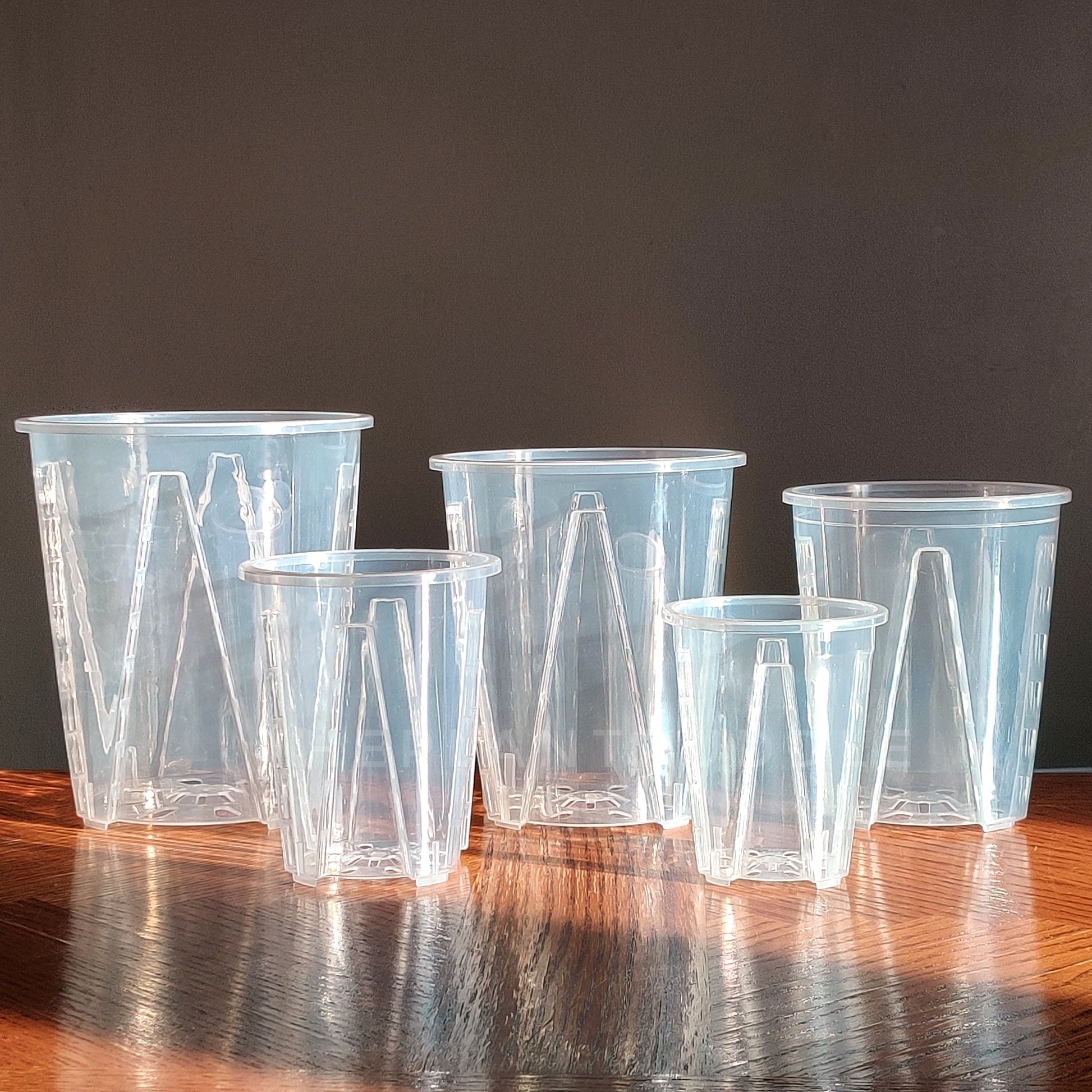 Tall Clear Plant Pot - High Drainage And Sturdy Design The Plant Puddle