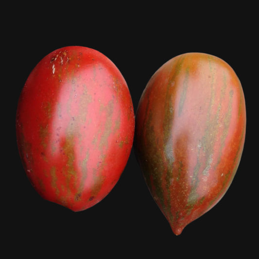 Tiger Pear Tomato Metchosin Farm