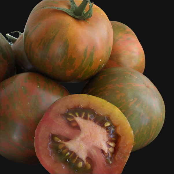 Black Zebra Tomato Metchosin Farm