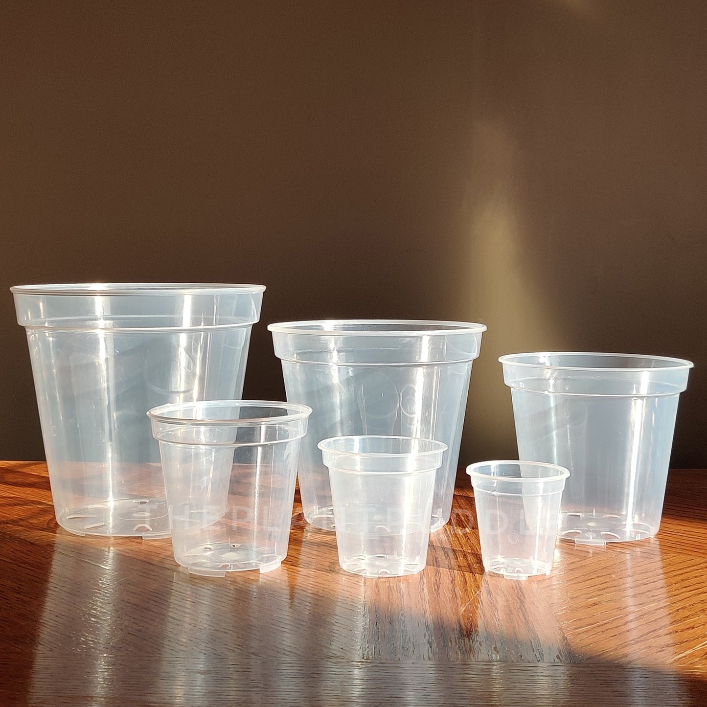 Round Clear Plant Pot - 10 Sizes With Bottom Drainage The Plant Puddle