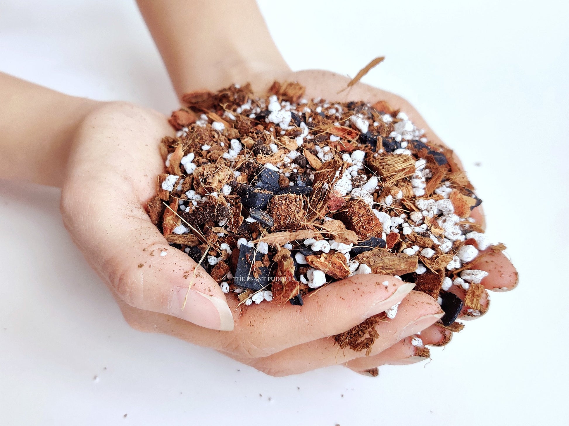 Aroid Potting Mix - Chunky and Soilless, Ready To Use The Plant Puddle